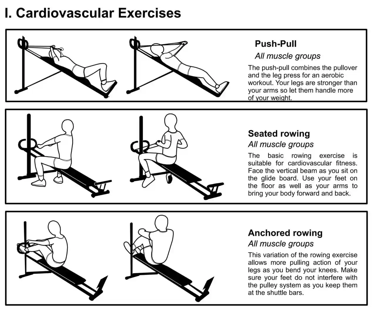 Trainer Manual 1